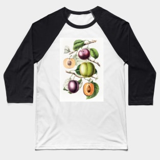 Hand drawn plums Baseball T-Shirt